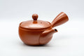 Japanese Kyusu - Tokoname-yaki 270 Degree Filter Teapot - 300ml
