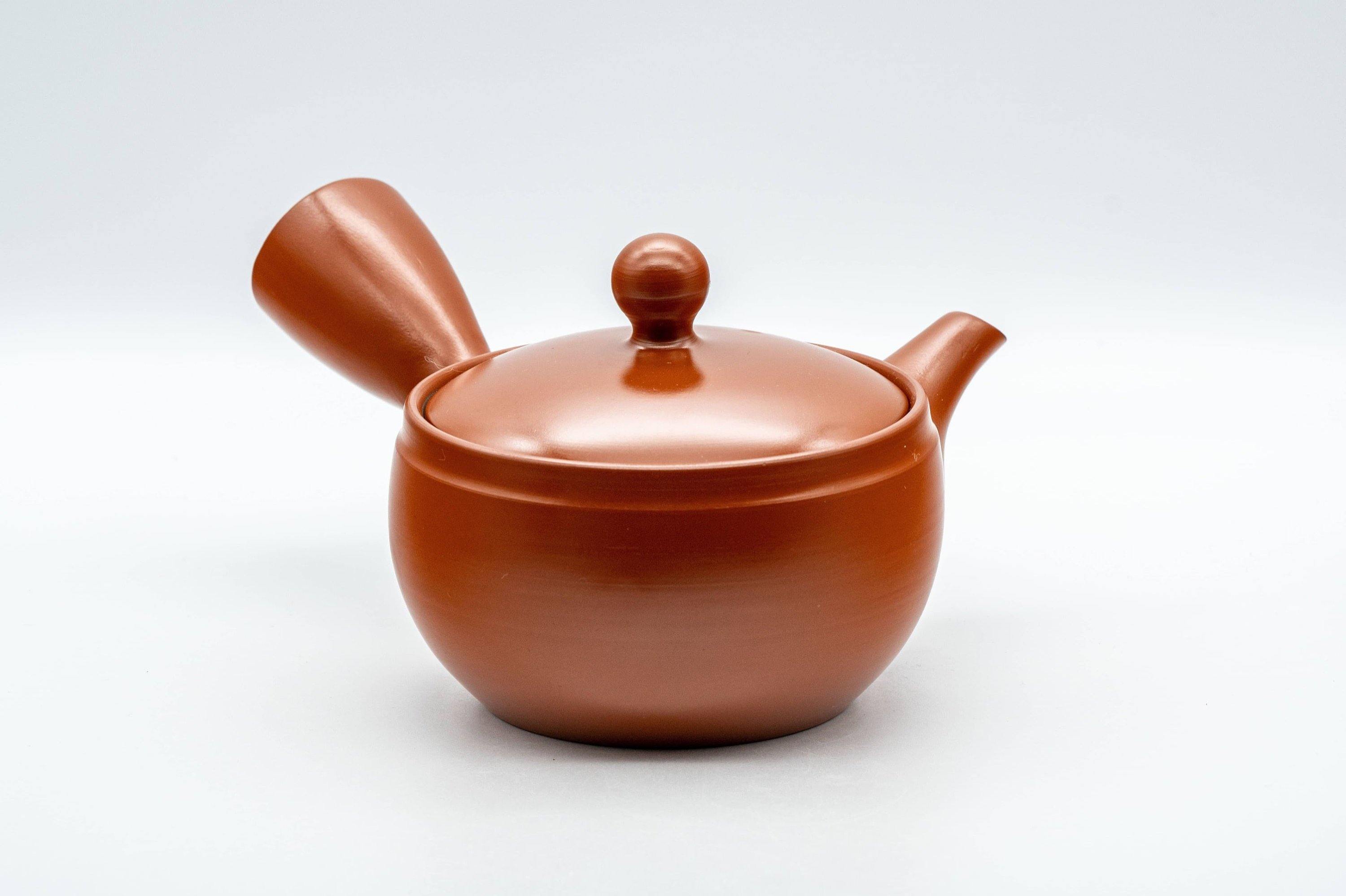 Japanese Kyusu - Tokoname-yaki 270 Degree Filter Teapot - 300ml