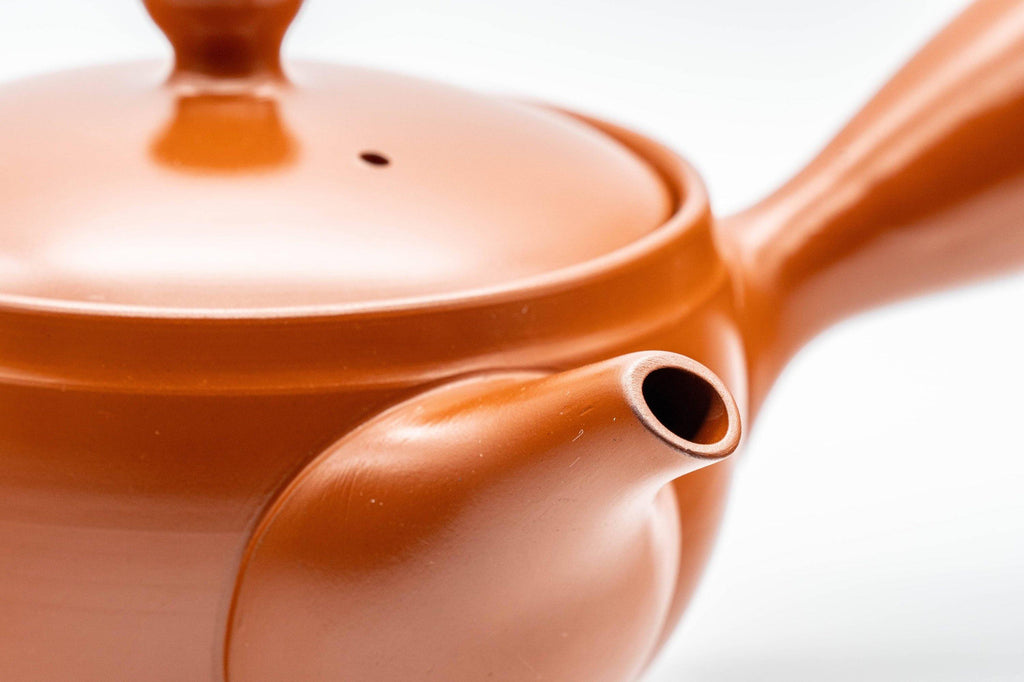 Japanese Kyusu - Tokoname-yaki 270 Degree Filter Teapot - 300ml