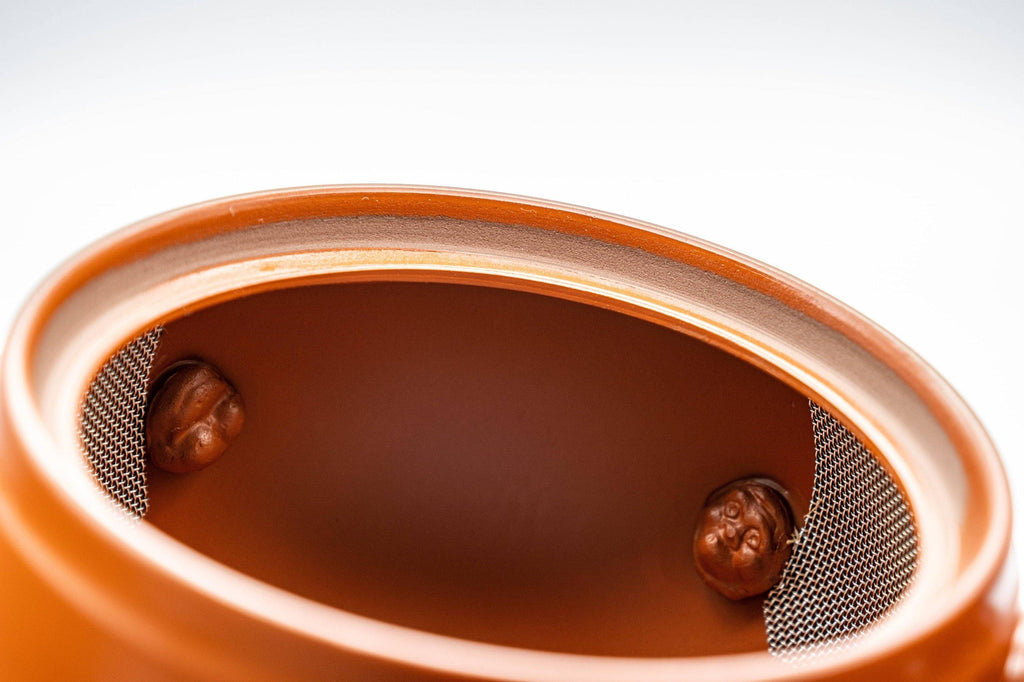Japanese Kyusu - Tokoname-yaki 270 Degree Filter Teapot - 300ml