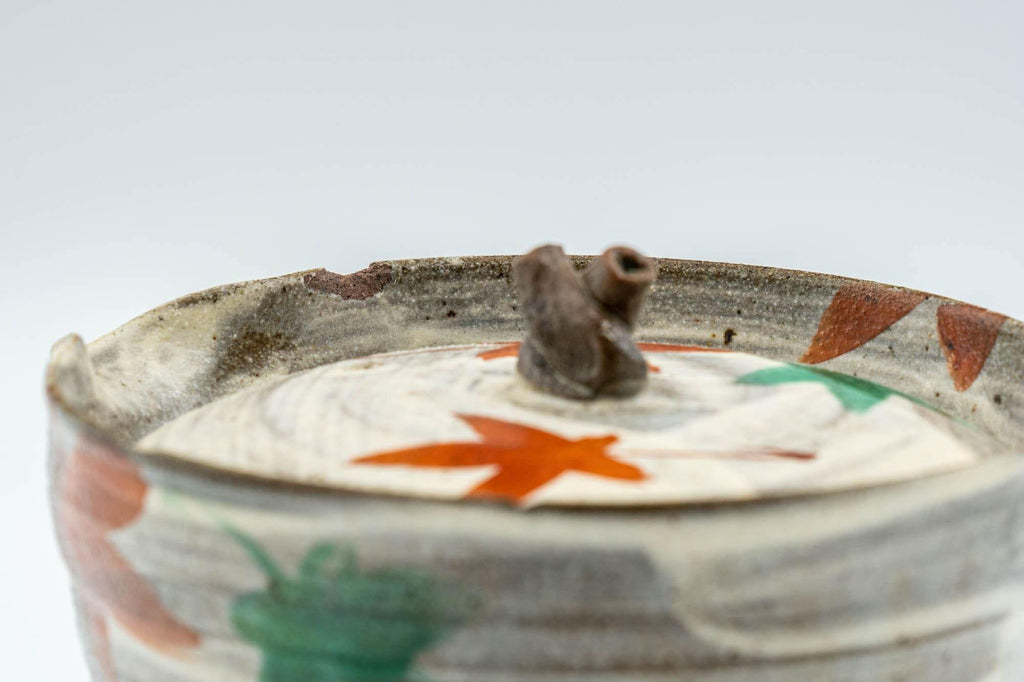 Japanese Shiboridashi - Hakeme Momiji Teapot - 150ml