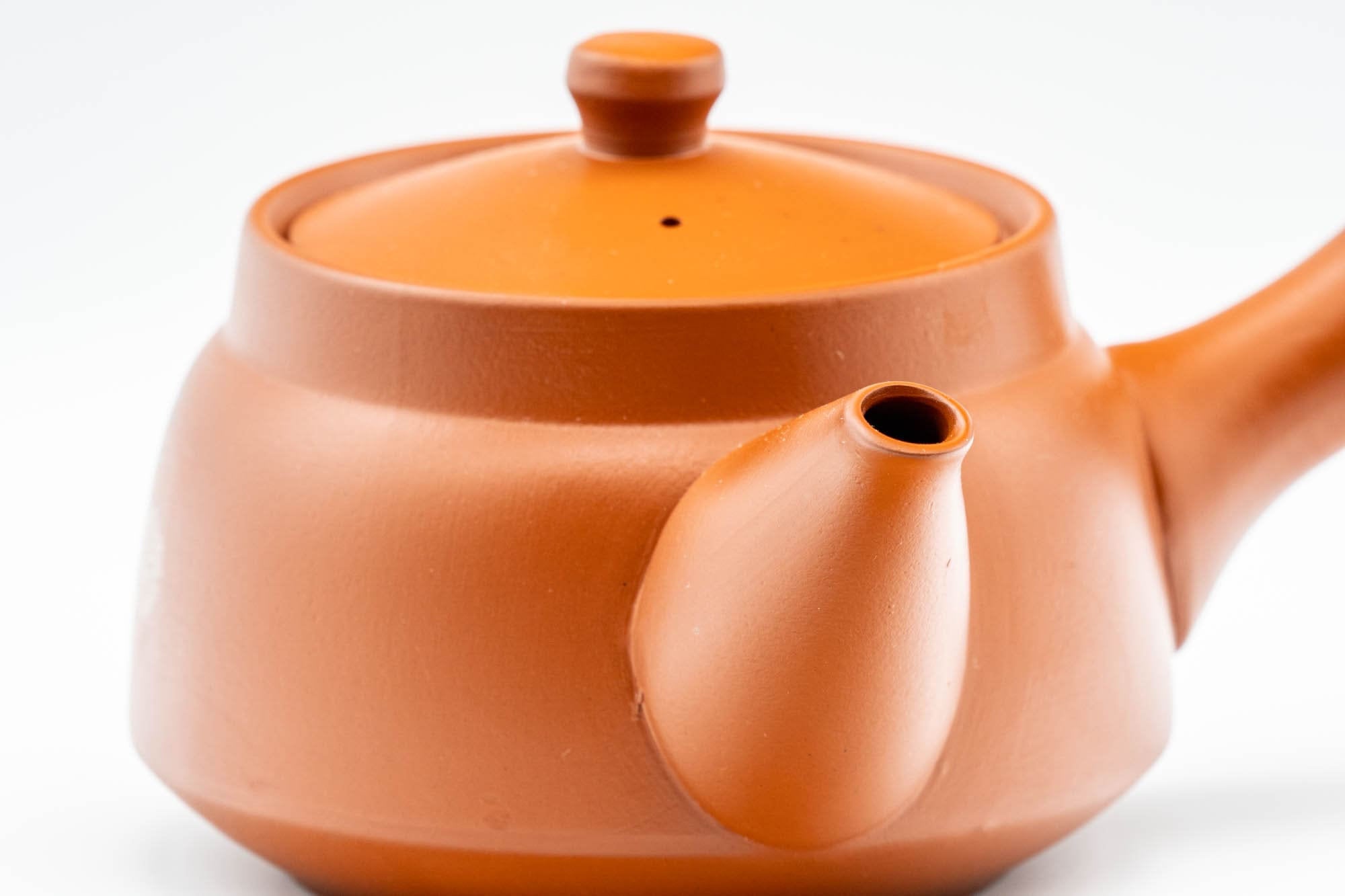 Japanese Kyusu - Mountainous Tokoname-yaki Debeso Teapot - 350ml