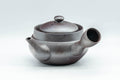 Japanese Kyusu - 萬古焼 Classic Banko-yaki Teapot - 300ml