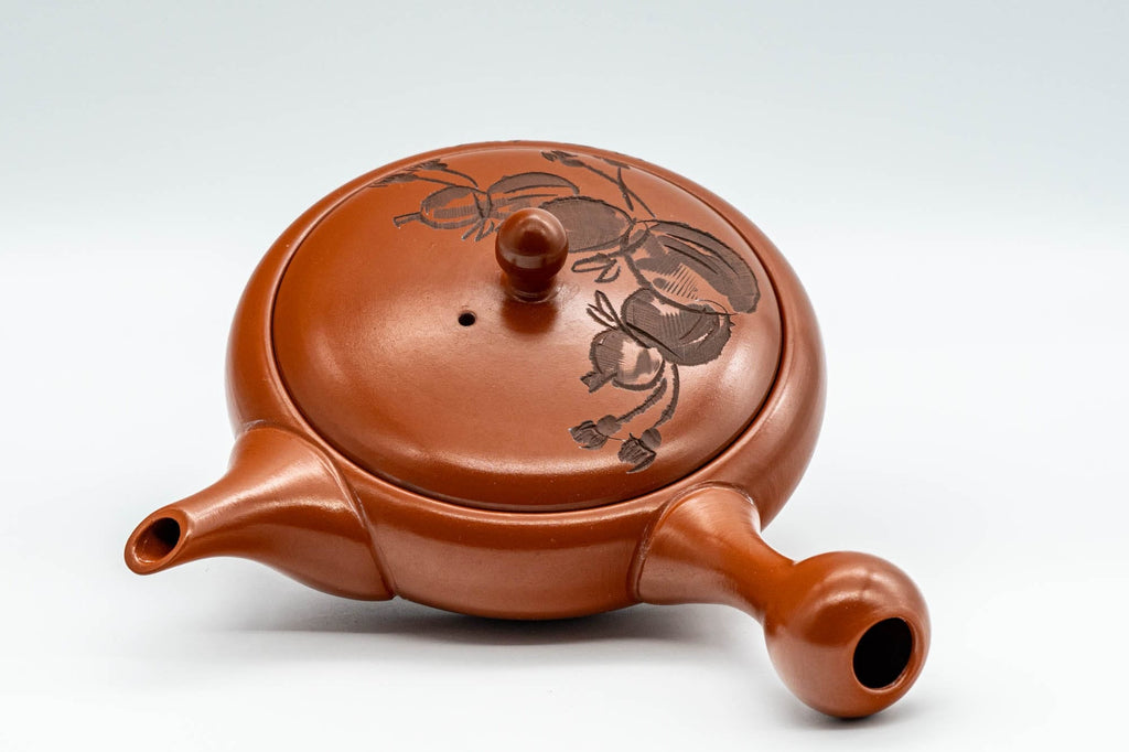 Japanese Kyusu - Gourd Hira-gata Tokoname-yaki Nozomi Teapot - 200ml