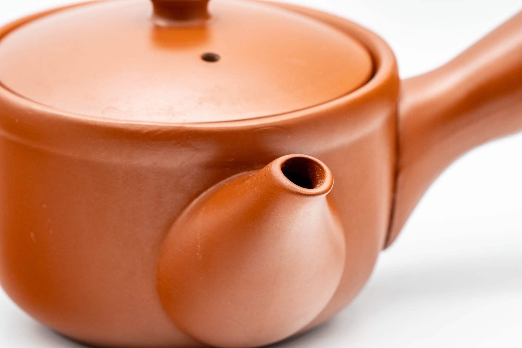 Japanese Kyusu - Bamboo Tokoname-yaki Teapot - 275ml