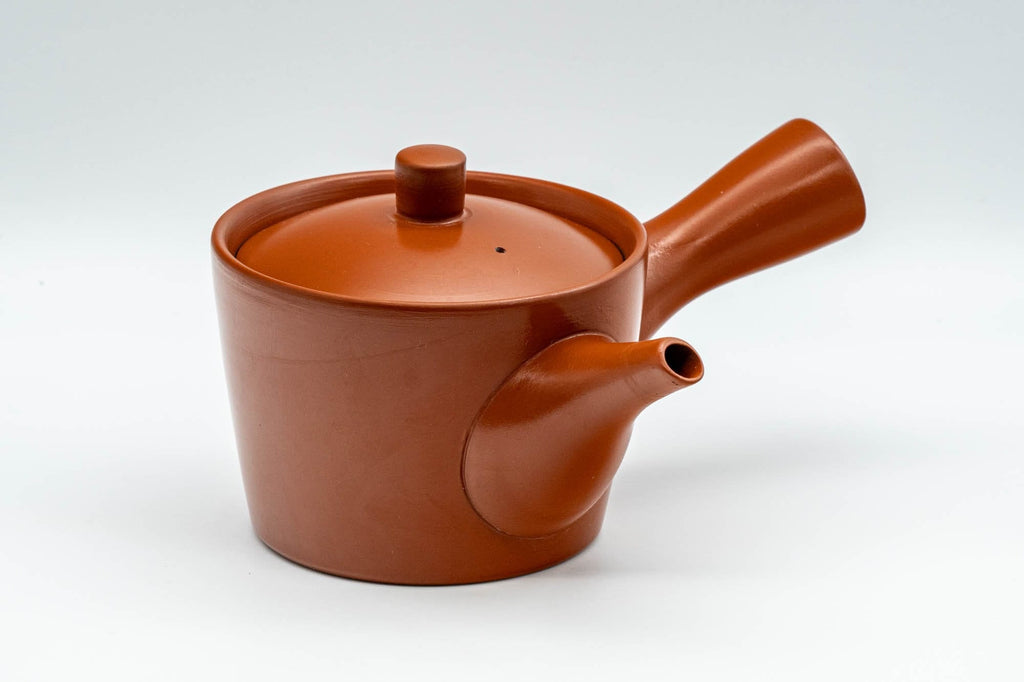 Japanese Kyusu - 煌堂 Koudou Classic Tokoname-yaki Teapot - 225ml
