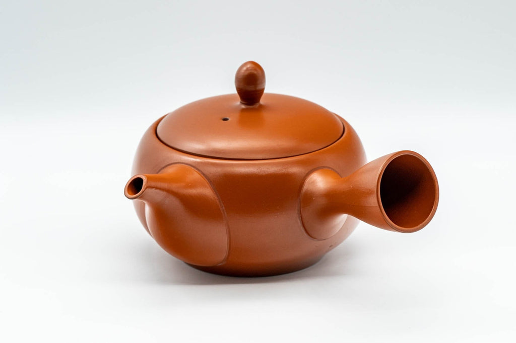 Japanese Kyusu - Plum Blossom Tokoname-yaki Teapot - 350ml