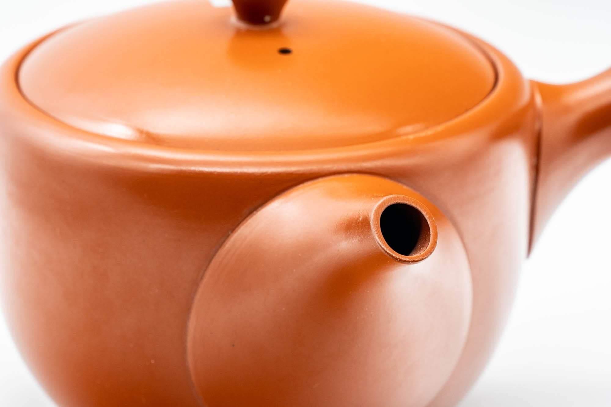 Japanese Kyusu - Large Tokoname-yaki Side-handled Teapot - 500ml