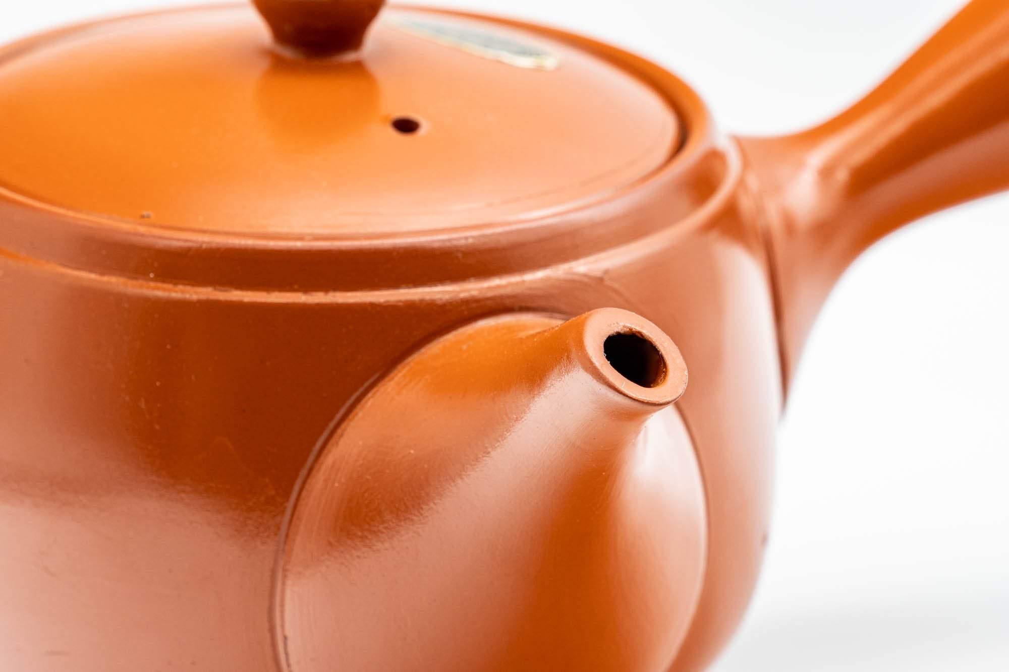 Japanese Kyusu - Engraved Tokoname-yaki Teapot - 350ml