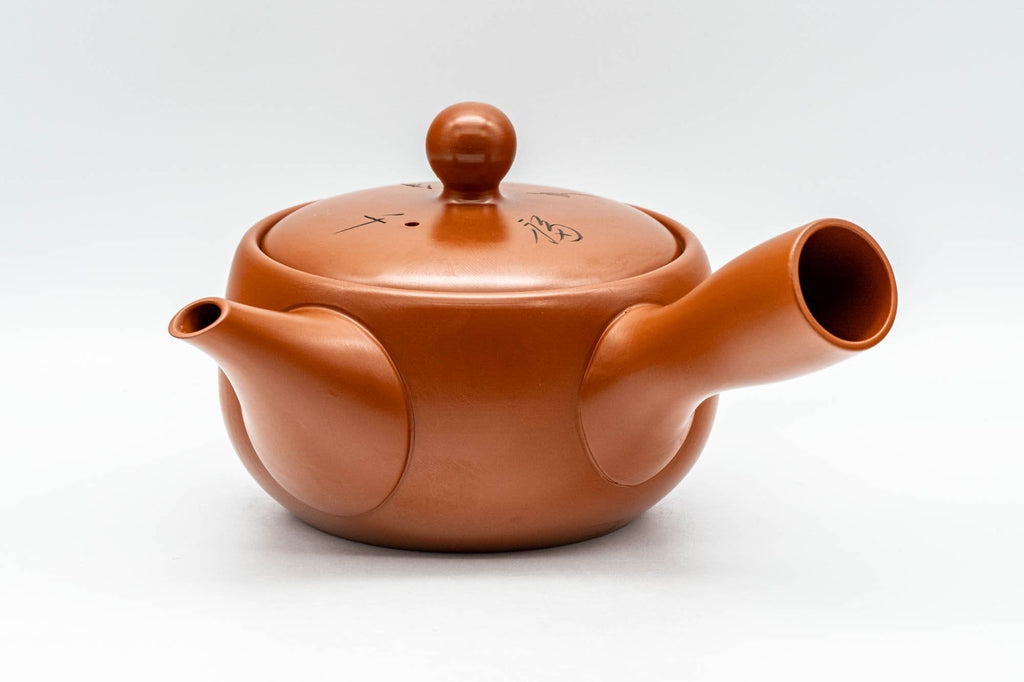 Japanese Kyusu - Soan Nagata - Engraved Tokoname-yaki Debeso Teapot - 250ml