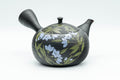 Japanese Kyusu - 玉光 Gyokko Floral Tokoname-yaki Sasame Teapot - 275ml