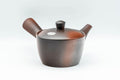Japanese Kyusu - Yohen Fired Tokoname-yake Teapot - 240ml
