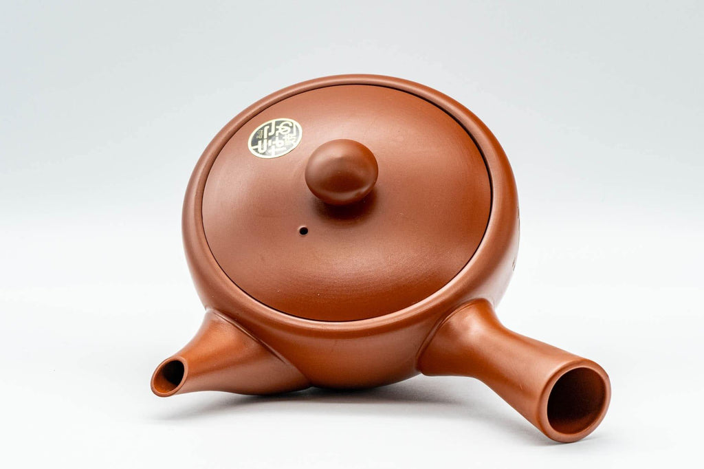 Japanese Kyusu - Engraved Tokoname-yaki Debeso Teapot - 250ml