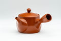 Japanese Kyusu - Iwata Kiln Tokoname-yaki Kyusu - 375ml