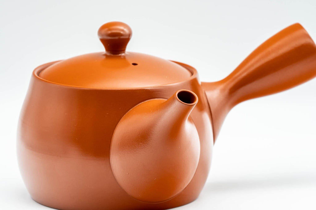 Japanese Kyusu - Iwata Kiln Tokoname-yaki Kyusu - 375ml