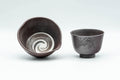 Japanese Tea Set - Banko-yaki Katakuchi and Senchawan Teacup