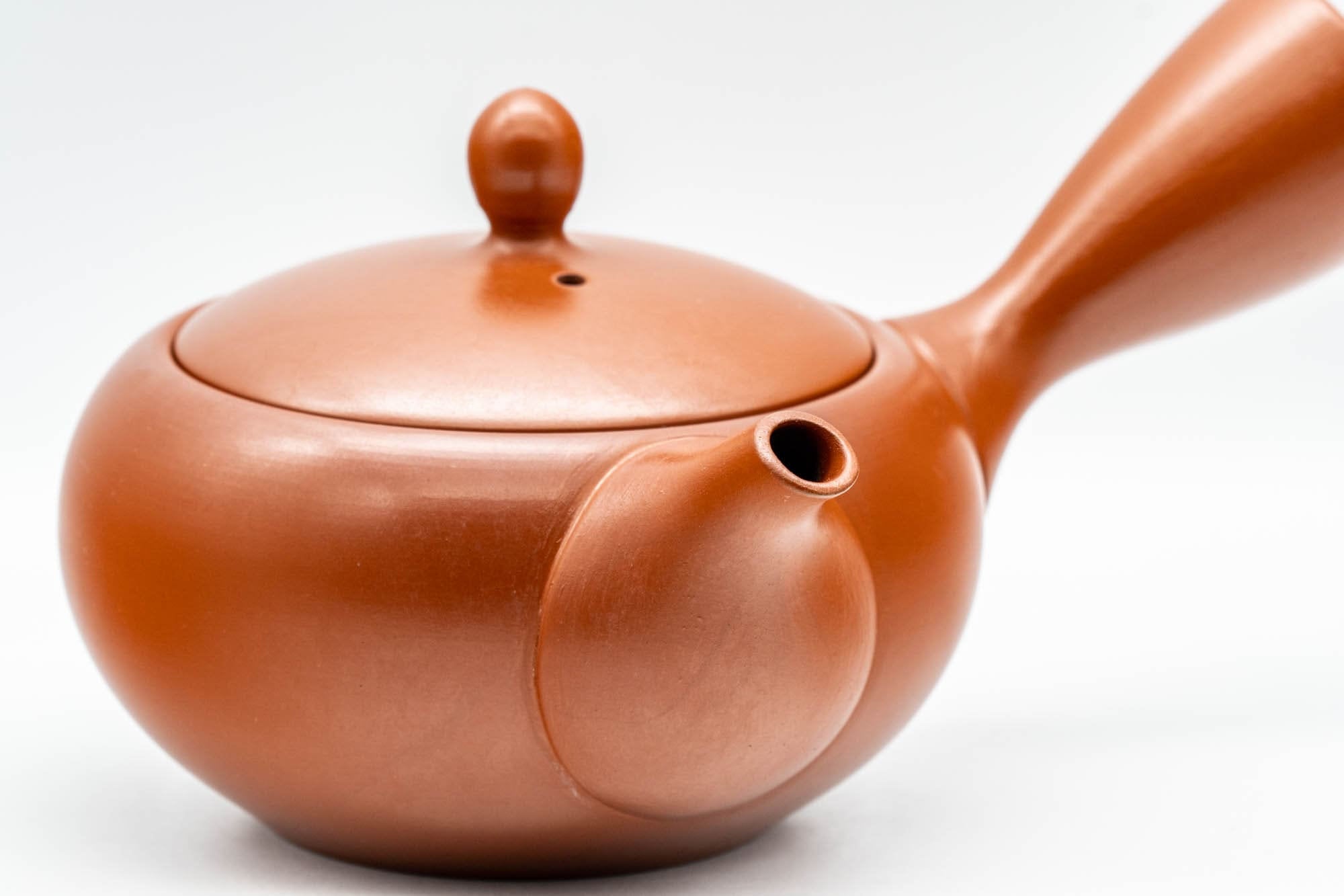 Japanese Kyusu - 高資窯 Takasuke Kiln - Sasame Filter Tokoname-yaki Teapot - 300ml