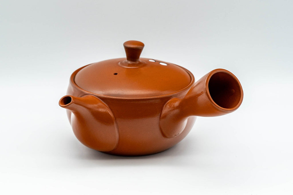 Japanese Kyusu - Plum Blossom Decorated Tokoname-yaki Teapot - 230ml