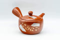 Japanese Kyusu - 常滑焼 Decorative Tokoname-yaki Teapot - 230ml