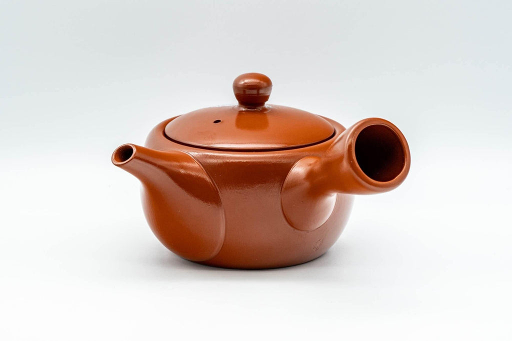 Japanese Kyusu - 常滑焼 Decorative Tokoname-yaki Teapot - 230ml
