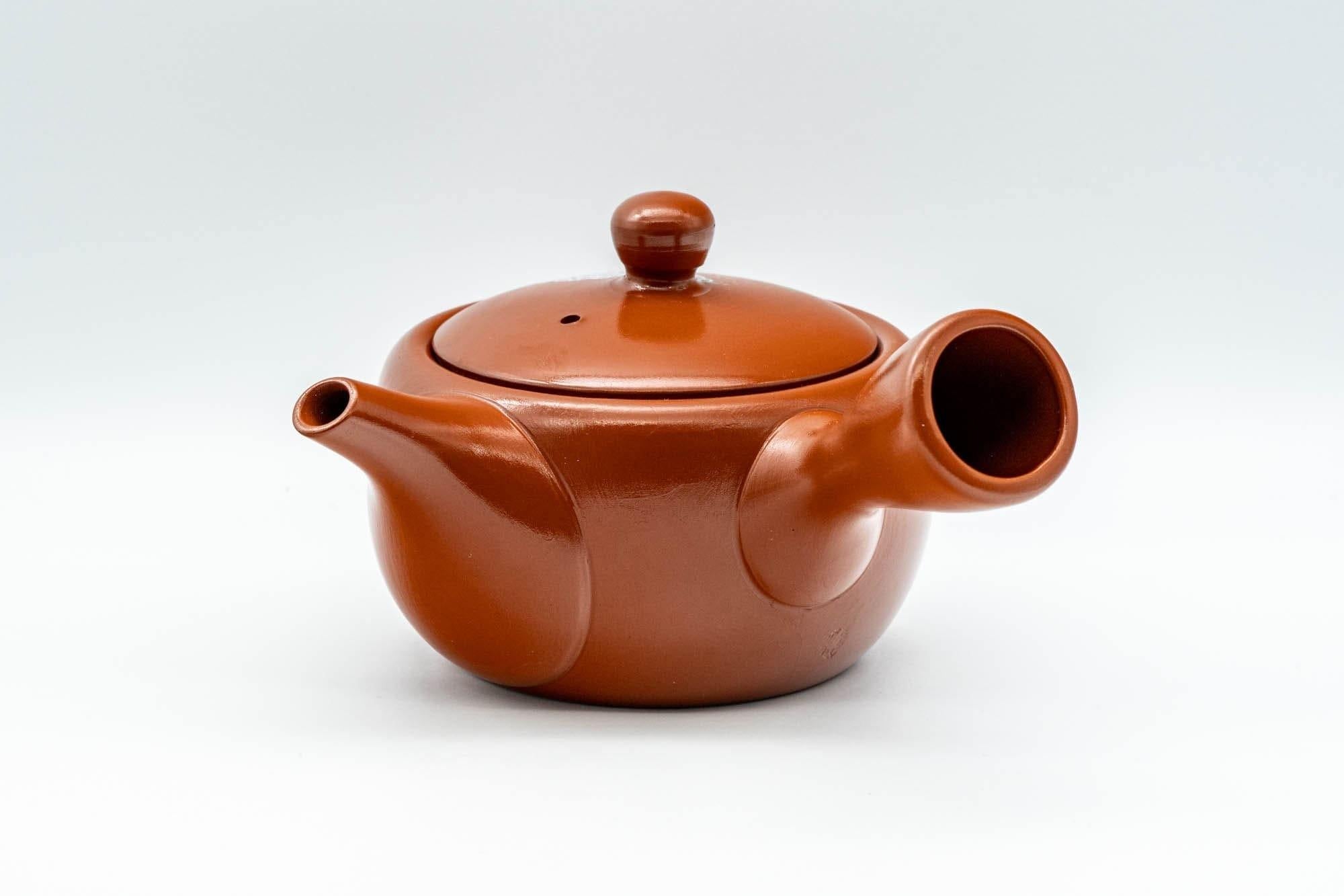 Japanese Kyusu - 常滑焼 Decorative Tokoname-yaki Teapot - 230ml