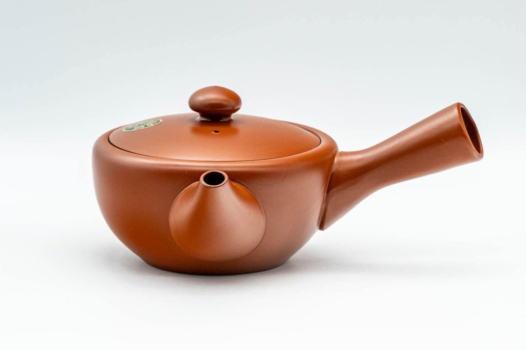 Japanese Kyusu - Engraved Tokoname-yaki Debeso Teapot - 250ml