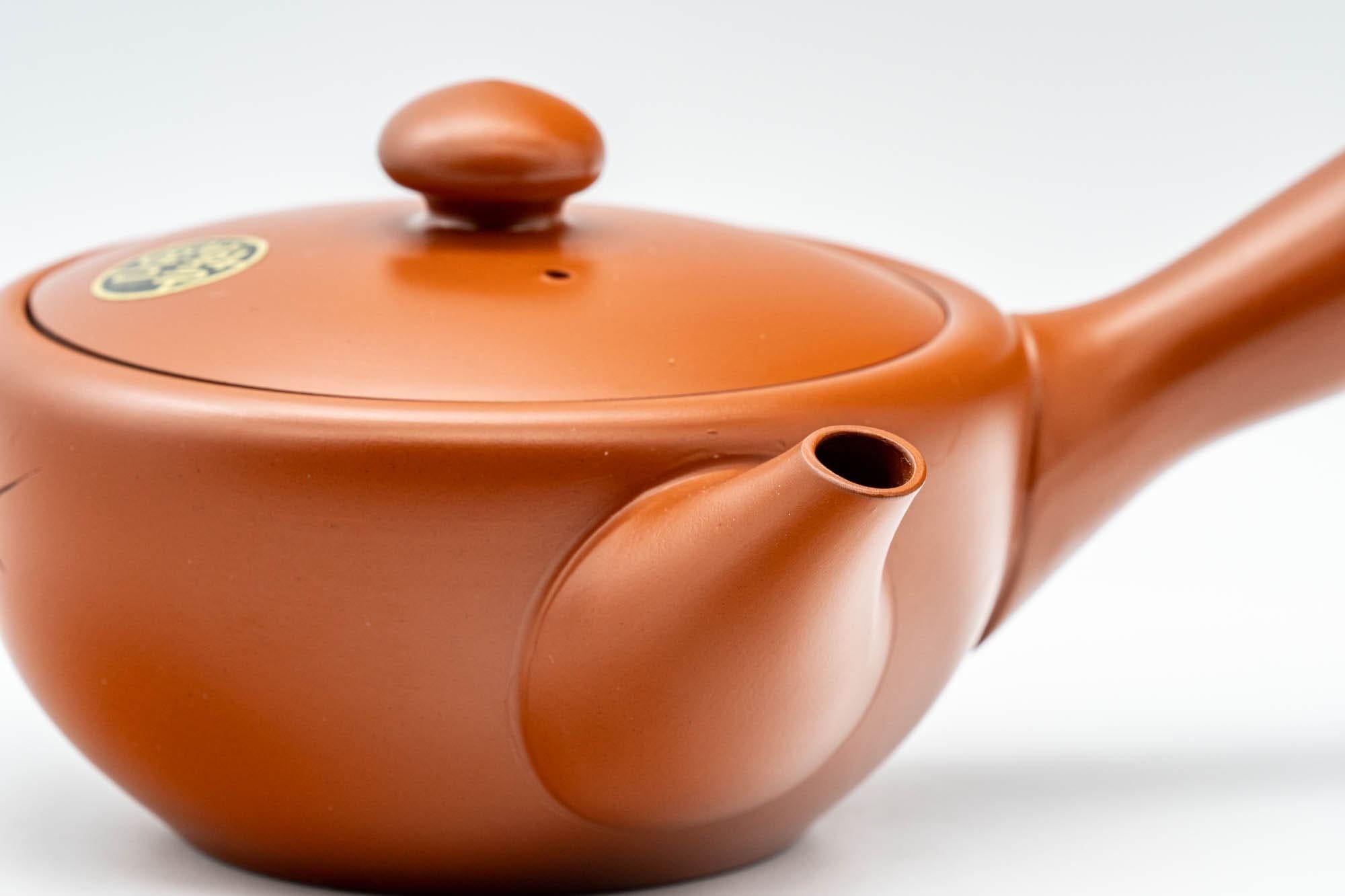 Japanese Kyusu - Engraved Tokoname-yaki Debeso Teapot - 250ml