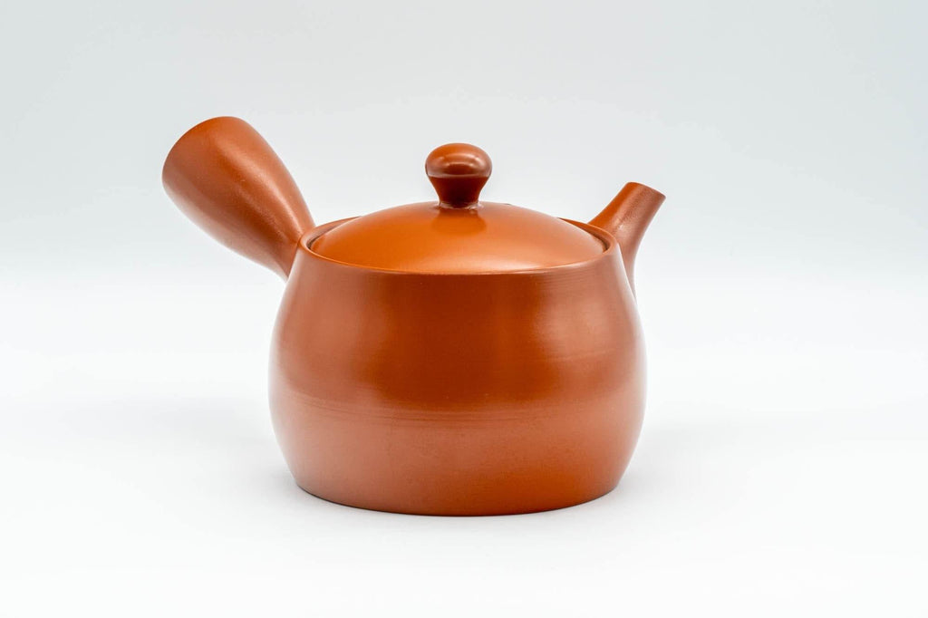 Japanese Kyusu - Iwata Kiln Tokoname-yaki Kyusu - 375ml