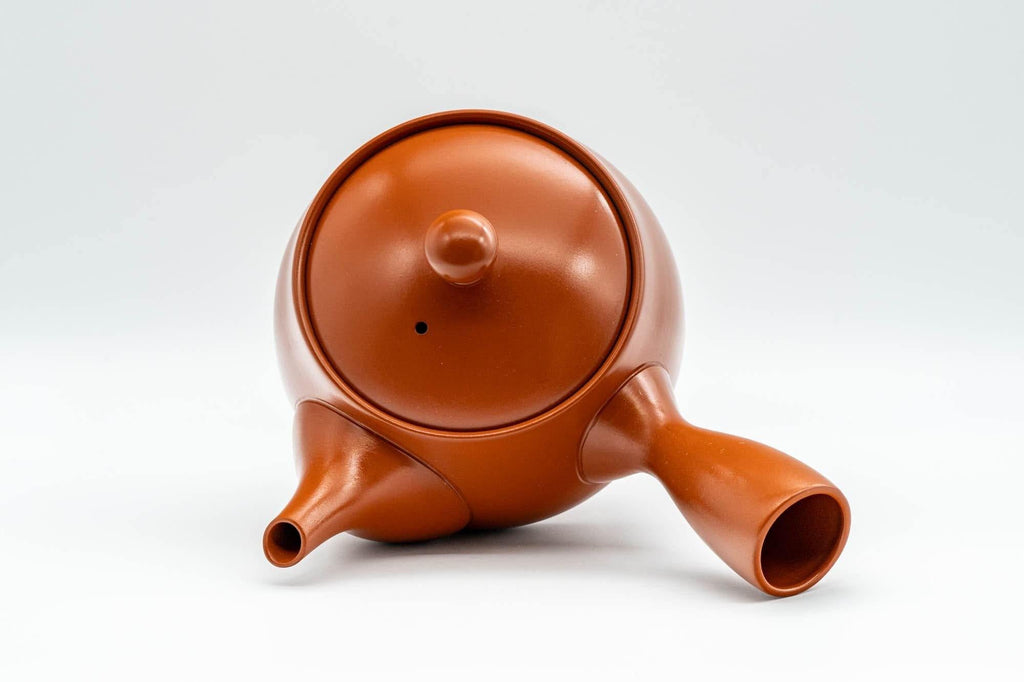 Japanese Kyusu - Iwata Kiln Tokoname-yaki Kyusu - 375ml