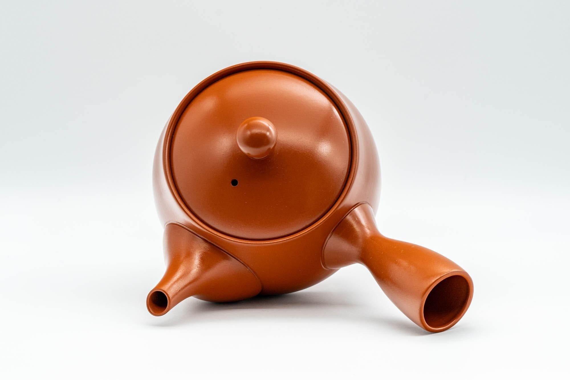 Japanese Kyusu - Iwata Kiln Tokoname-yaki Kyusu - 375ml