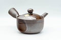 Japanese Kyusu - Shoryu Kiln 昇龍窯 Banko-yaki Teapot - 220ml