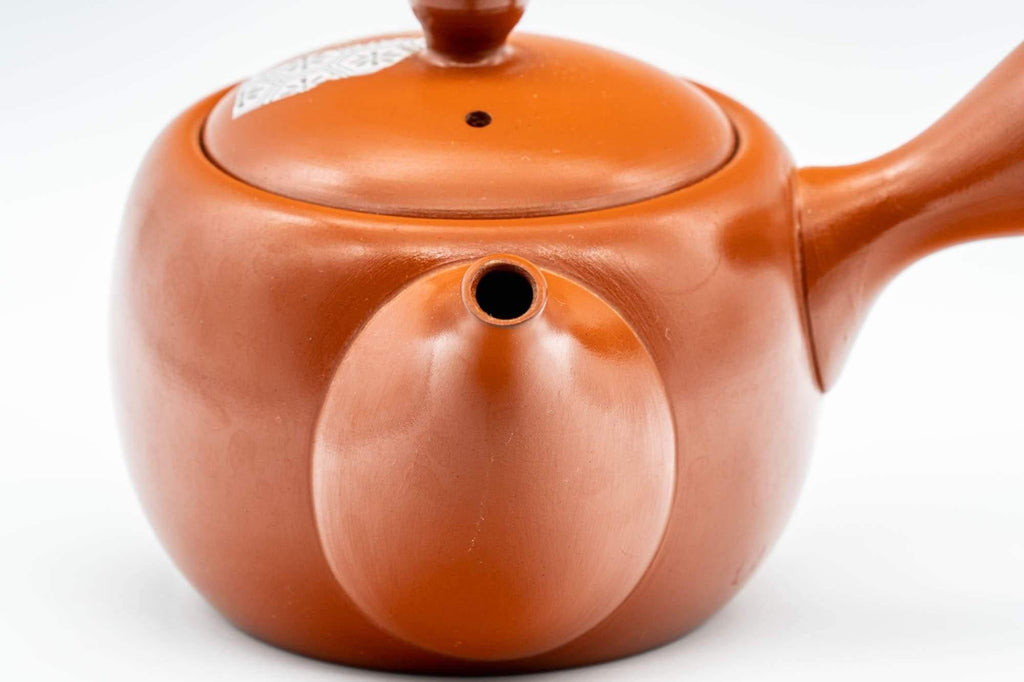 Japanese Kyusu - Engraved Turtle Tokoname-yaki Teapot - 350ml