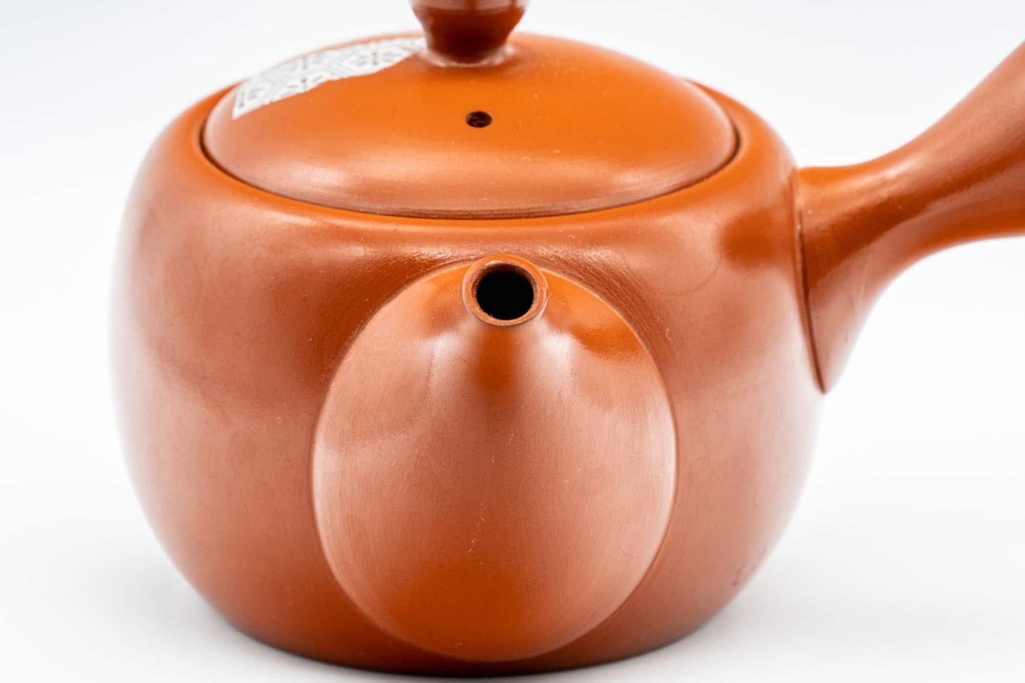 Japanese Kyusu - Engraved Turtle Tokoname-yaki Teapot - 350ml