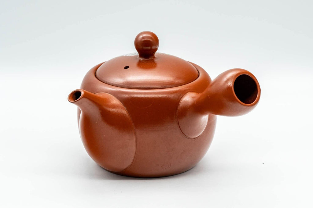 Japanese Kyusu - Engraved Turtle Tokoname-yaki Teapot - 350ml