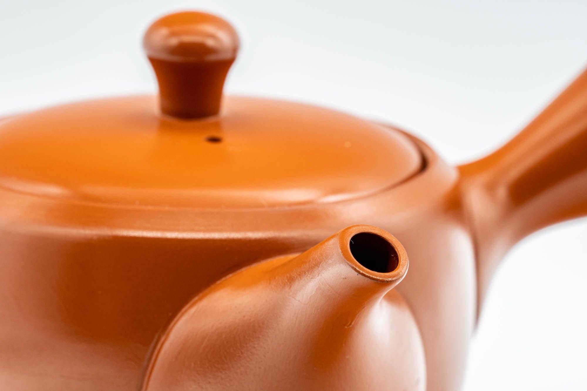 Japanese Kyusu - Classic Tokoname-yaki Ceramic Teapot - 320ml