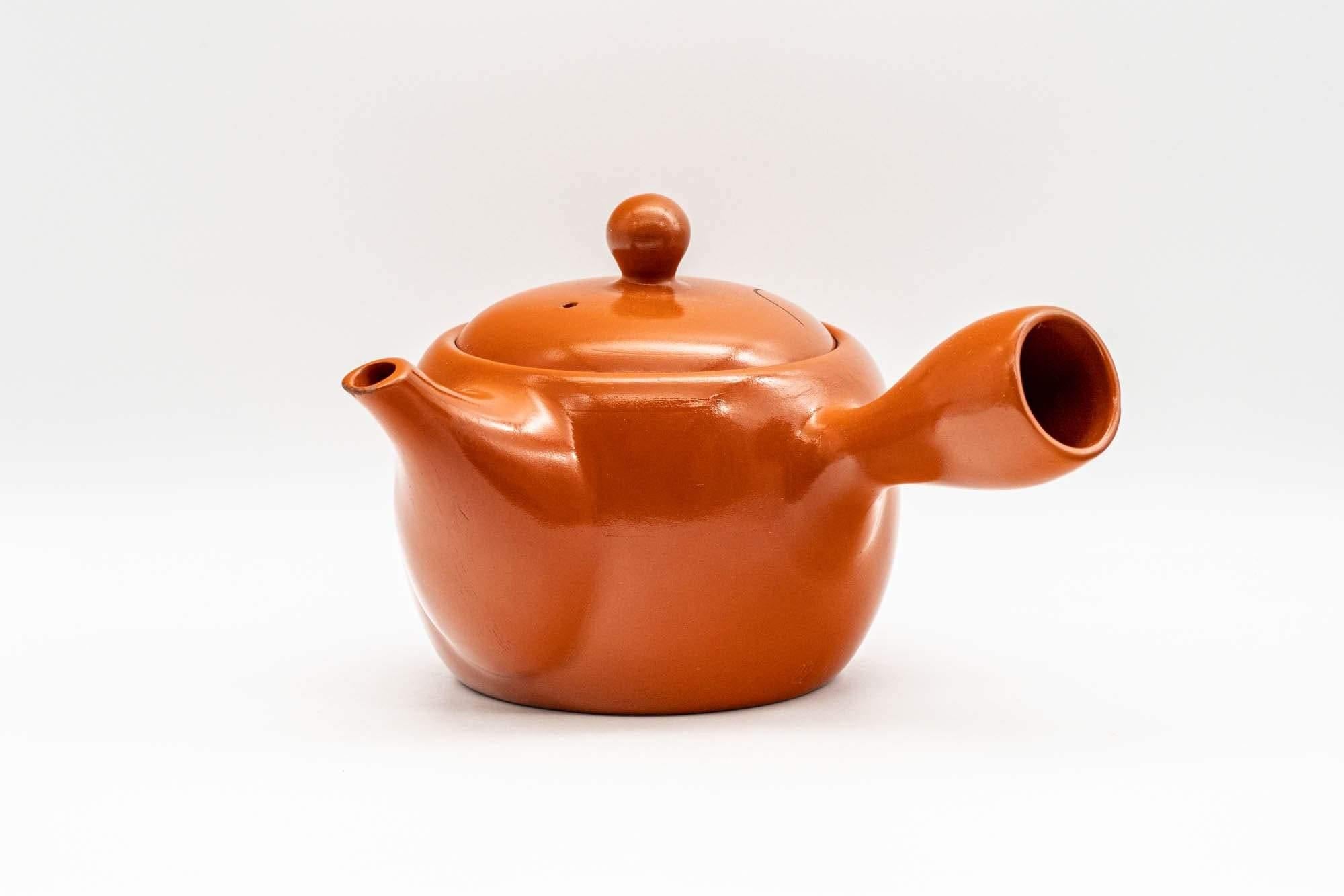 Japanese Kyusu - Engraved Landscape Tokoname-yaki Teapot - 325ml