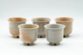 Japanese Teacups - Set of 5 Beige Textured Guinomi - 35ml