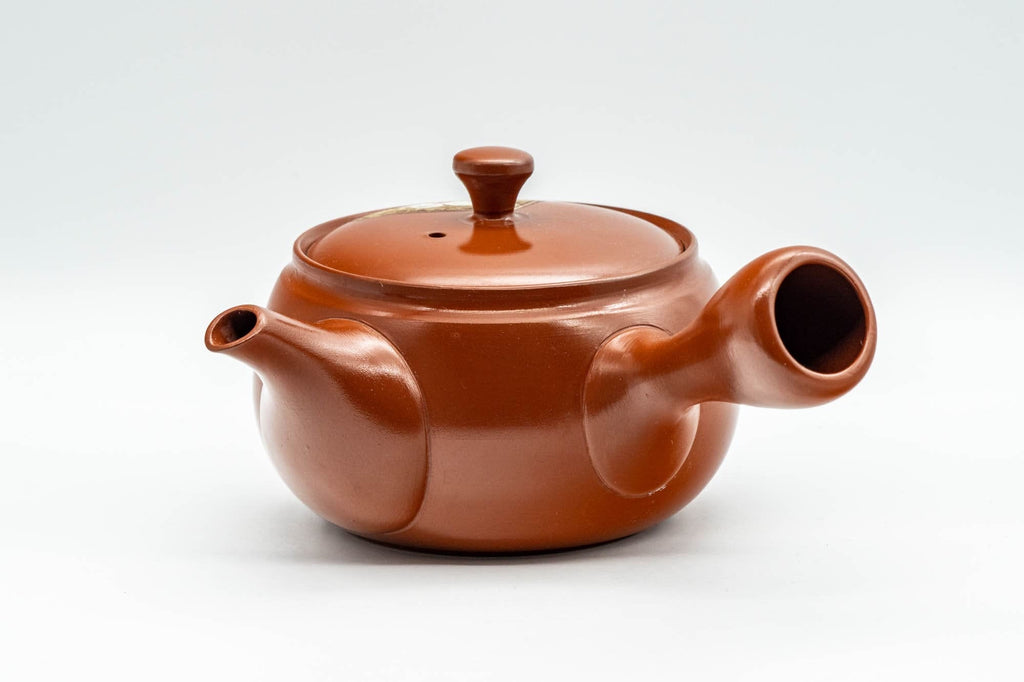 Japanese Kyusu - Floral Engraved Tokoname-yaki Debeso Teapot - 320ml