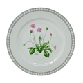 Royal Porcelain Botanica Bellis Perennis Dinner Plate