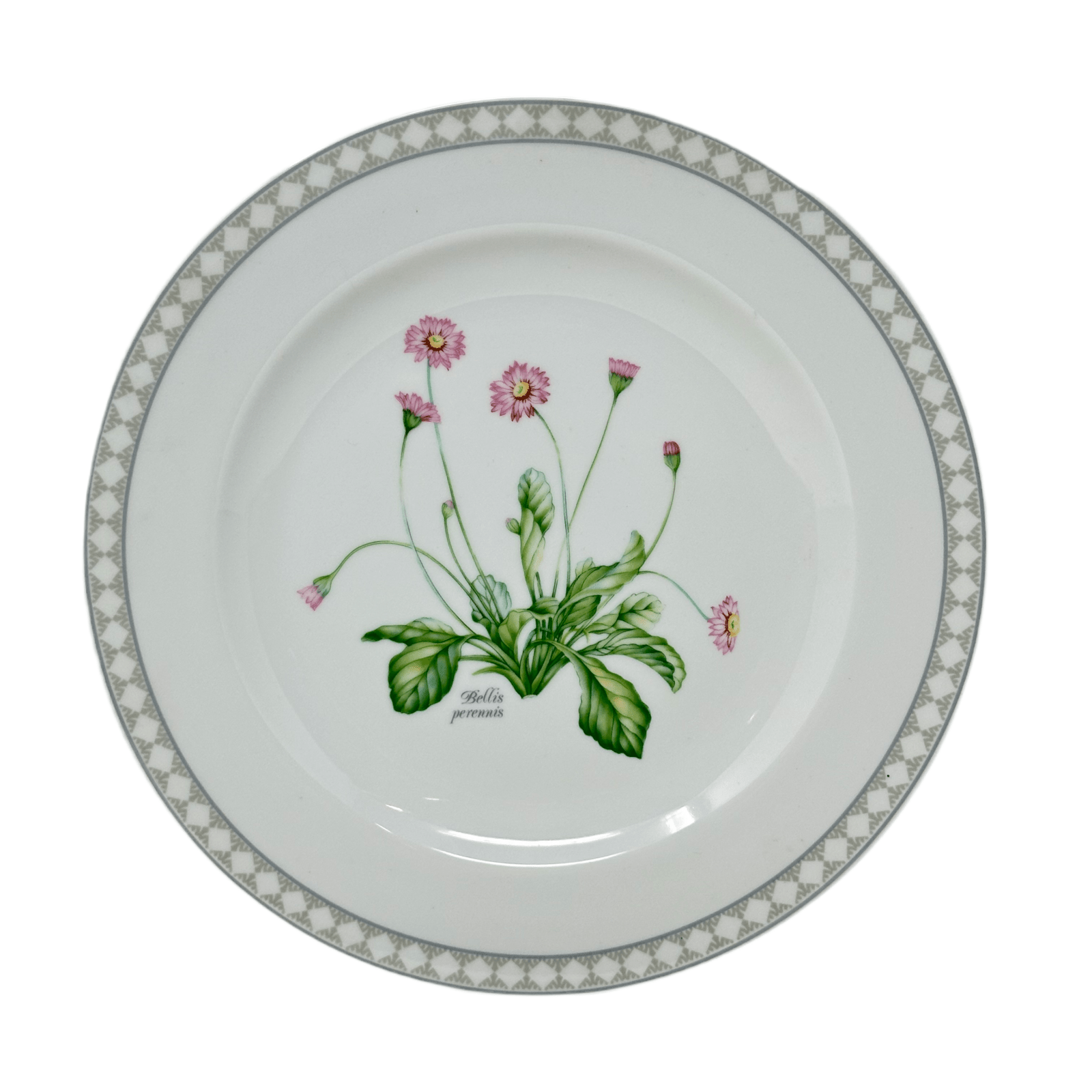 Royal Porcelain Botanica Bellis Perennis Dinner Plate
