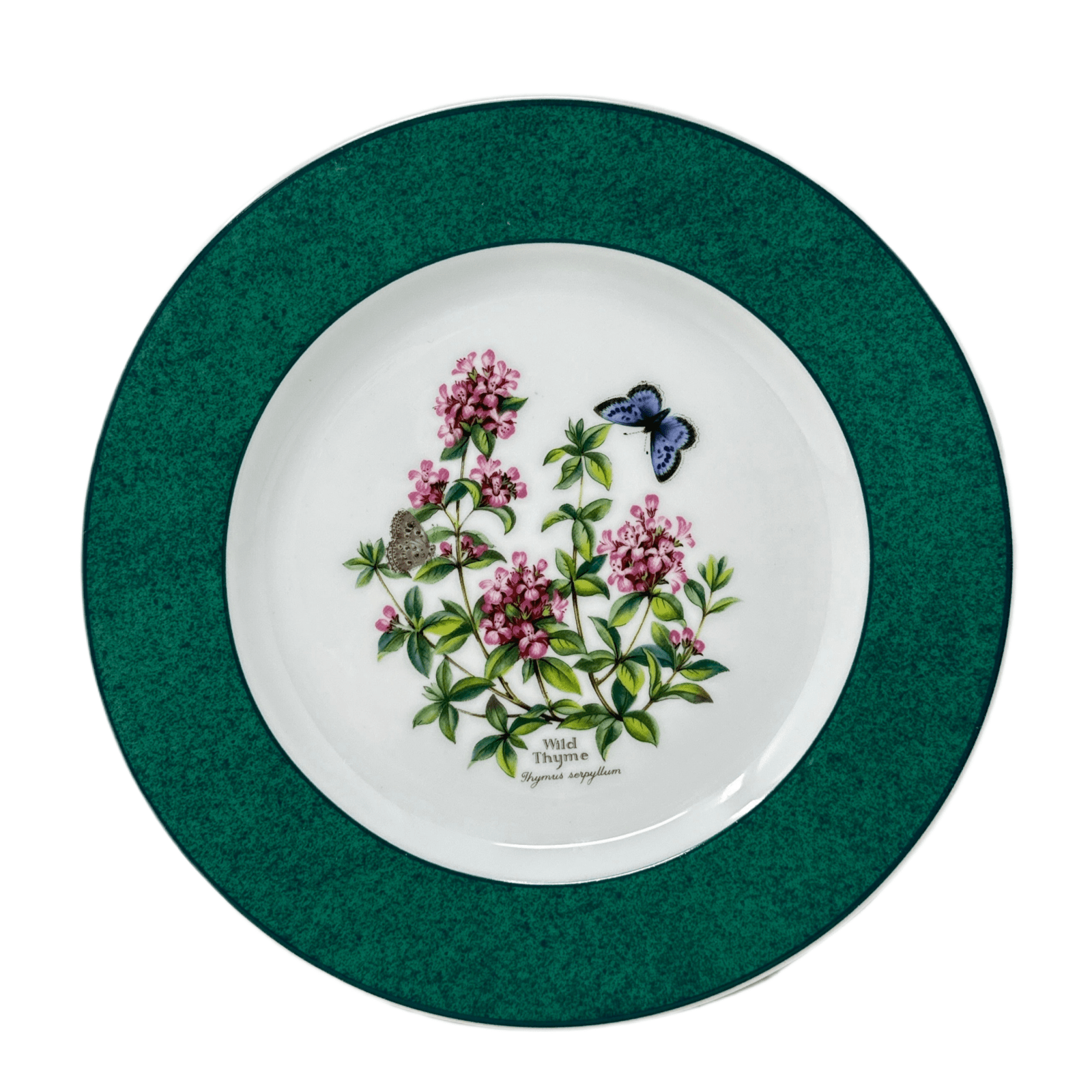Royal Worcester Herbs Salad Plate ( Wild Thyme - Thymus Serpyllum )