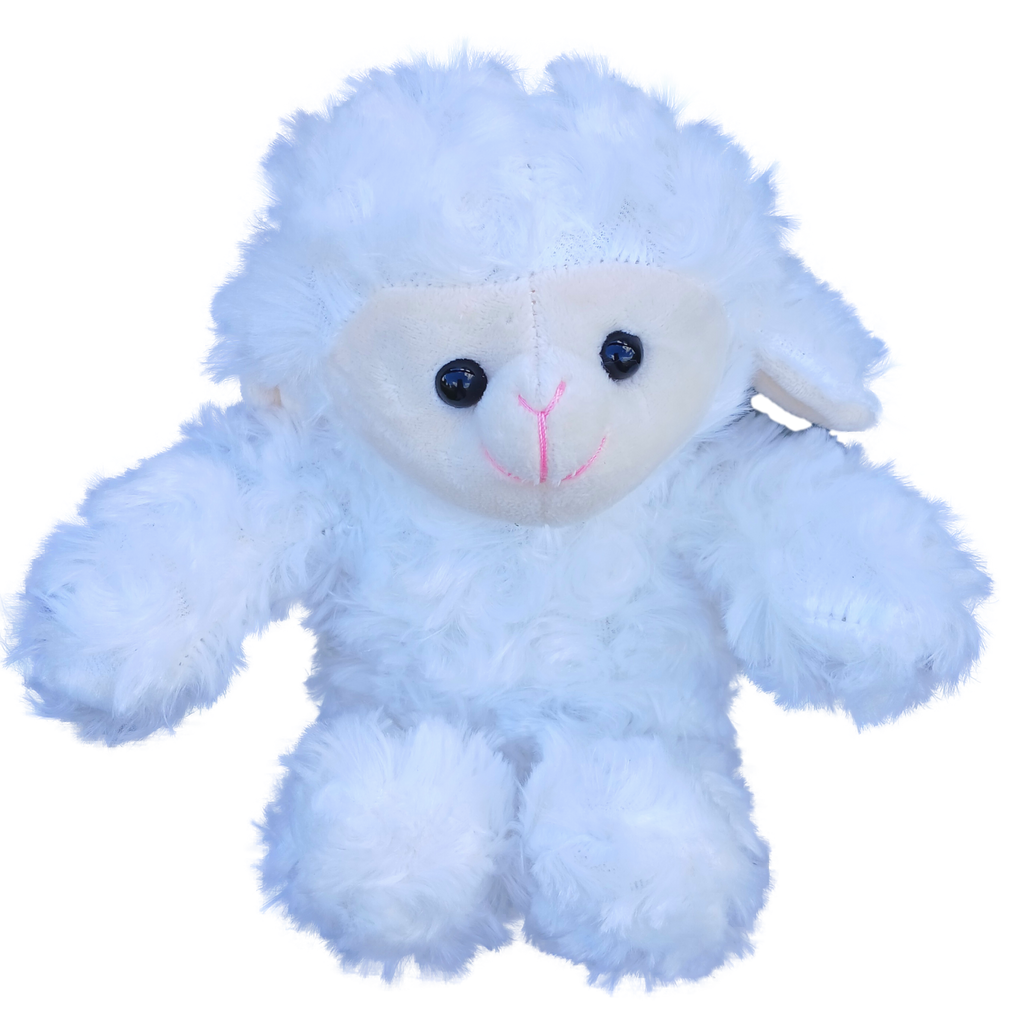 Small Plush Lamb with Tee