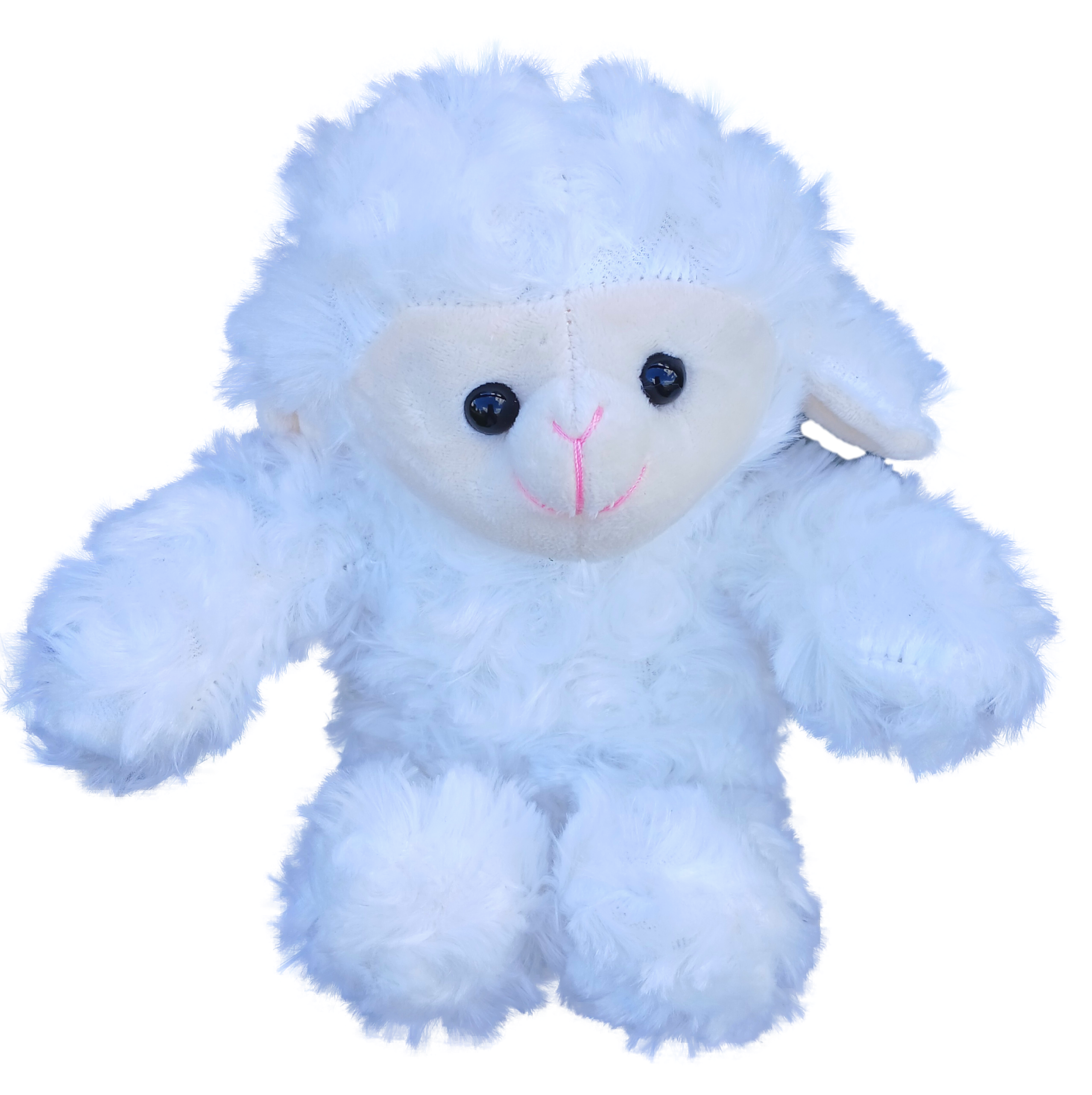Small Plush Lamb with Tee