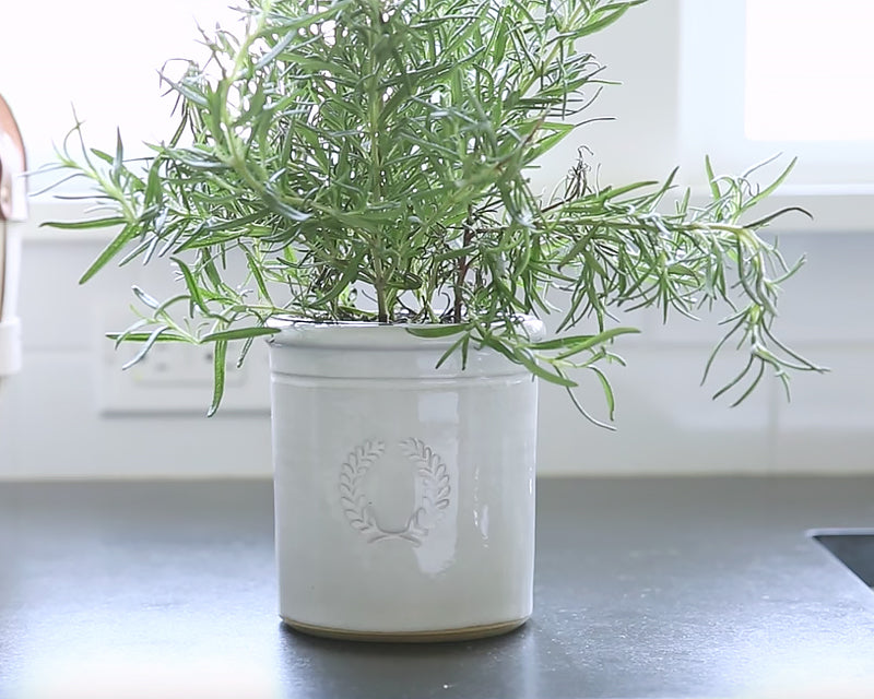 Farmhouse Crock
