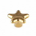 Le Creuset Metal Gold Star Knob