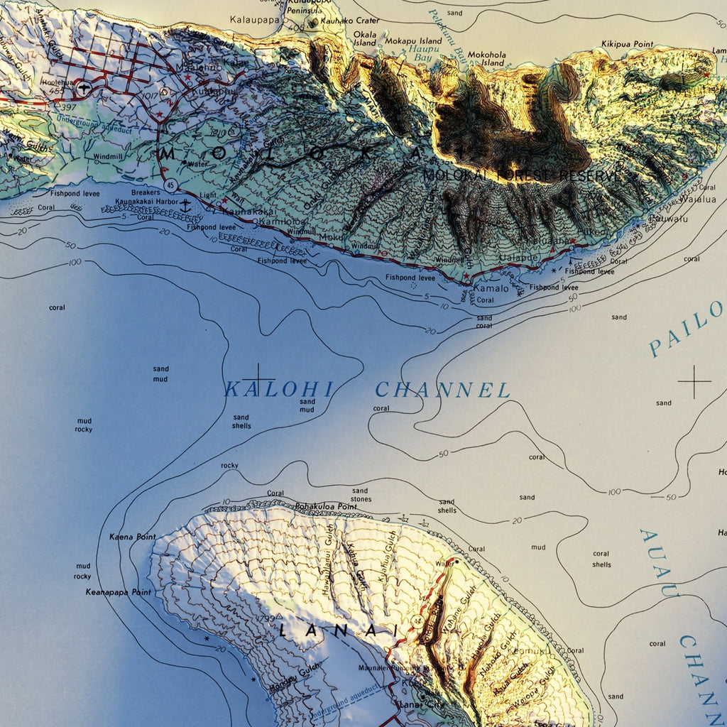 Maui 1961 Shaded Relief Map - No Frame