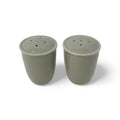 Mikasa Mesa Verde Salt and Pepper Set