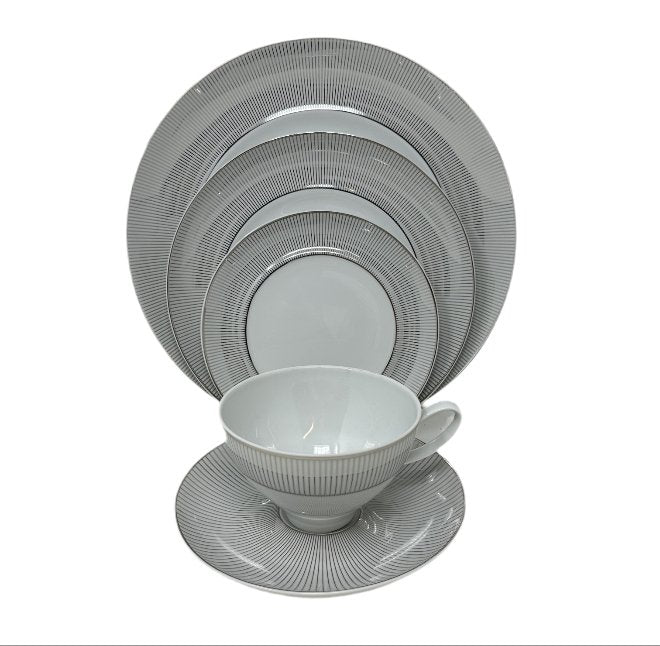 Mikasa Platinum Shimmer - 5 Piece Place Setting