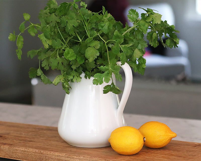 Pillivuyt Milk Jug
