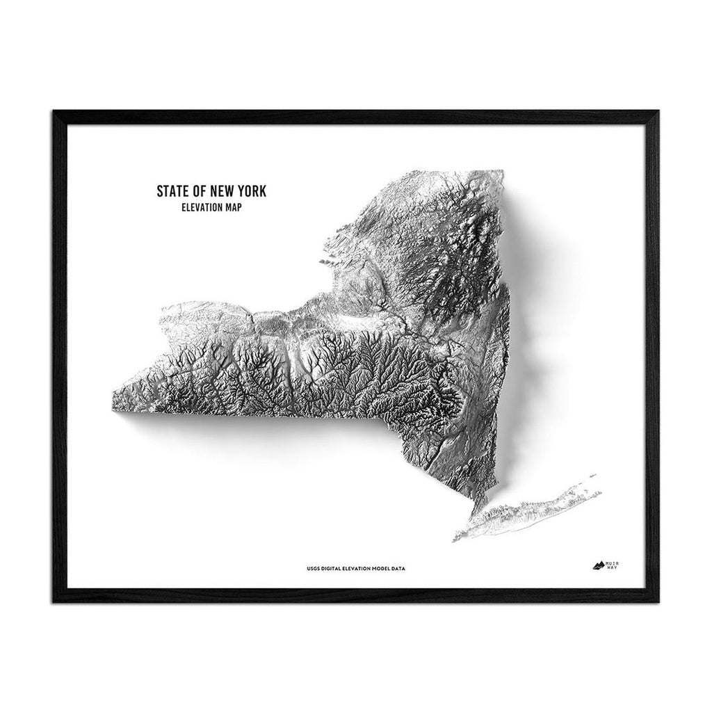 New York Elevation Map - No Frame